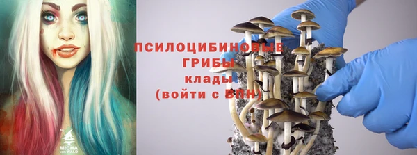 наркотики Белокуриха