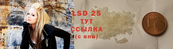 твердый Богданович