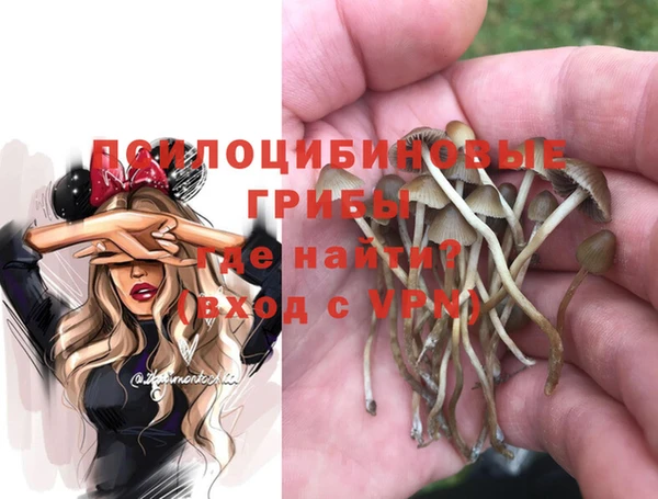 МДМА Богородск
