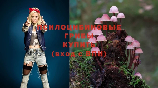 твердый Богданович