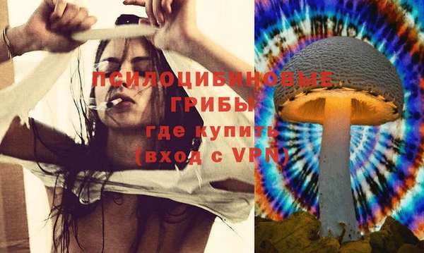 амфетамин Богородицк